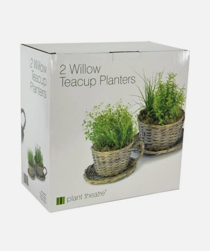 Willow teacup planters - willow, w/