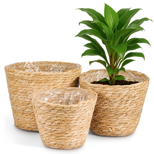 Pcs wicker plant pots - pcs,